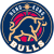 Hong Kong Bulls