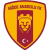 Nigde Anadolu Futbol Kulubu
