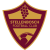 Stellenbosch FC