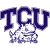 Texas Christian University Horned Frogs