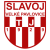 TJ Slavoj Velke Pavlovice