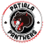 Patiala Panthars