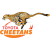 Free State Cheetahs