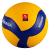 SG Muhlviertel Volleys