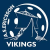 Ericsson Vikings