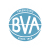 BV Amsterdam