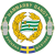 Hammarby IF Bandy