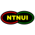 NTNUI