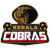Kerala Cobras