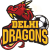 Delhi Dragons