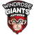 Antwerp Giants